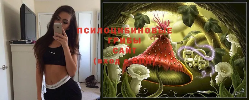 Псилоцибиновые грибы MAGIC MUSHROOMS  купить закладку  ОМГ ОМГ рабочий сайт  Югорск 